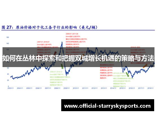 如何在丛林中探索和把握双城增长机遇的策略与方法